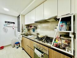Rivercove Residences (D19), Condominium #424437491
